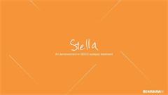 Stella - An advancement in SEEG epilepsy treatment (Stereoelectroencephalography)